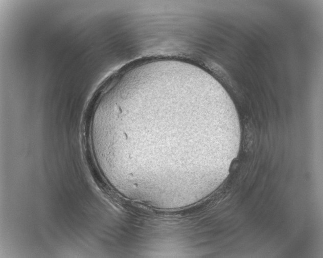 X0000063510680200602172147