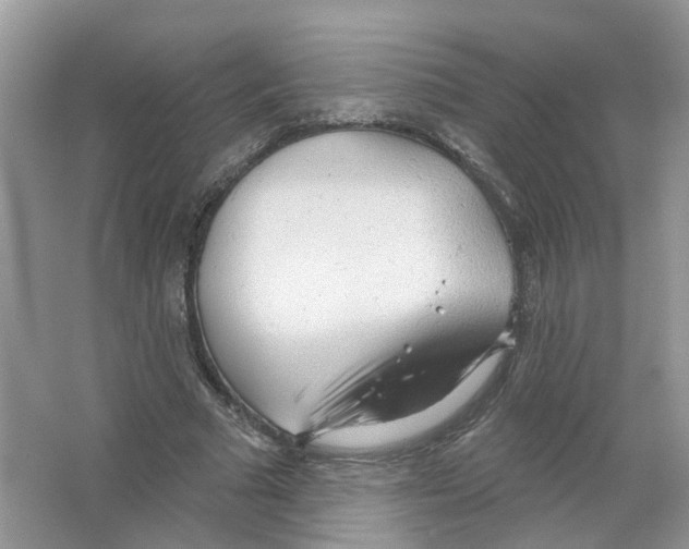 X0000063510681200602172147