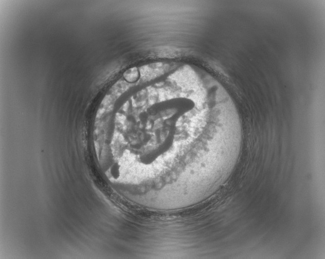 X0000063510683200602172147