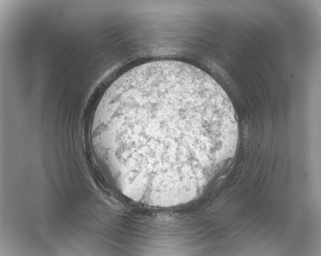 X0000063510684200602172147