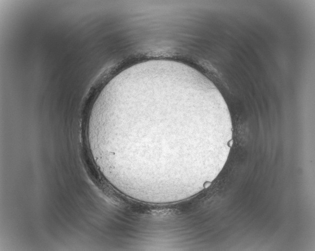 X0000063510686200602172147