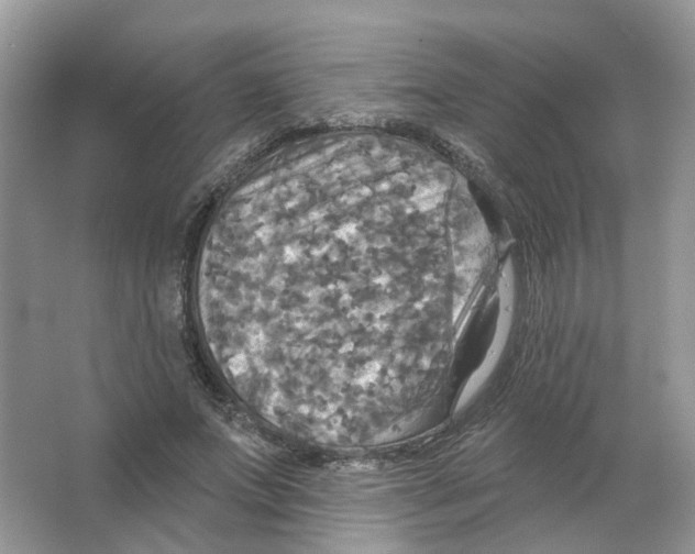 X0000063510687200602172147