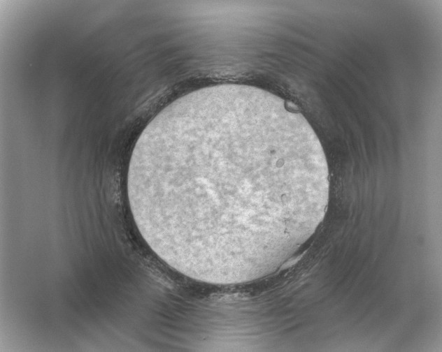 X0000063510689200602172147