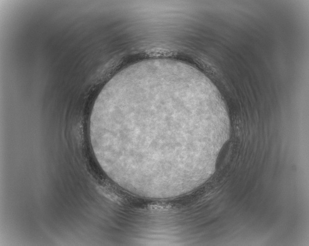 X0000063510690200602172147