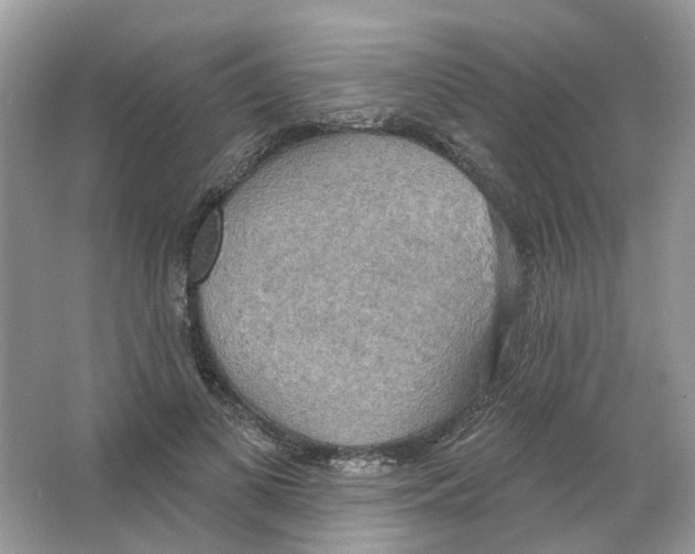 X0000063510693200602172147