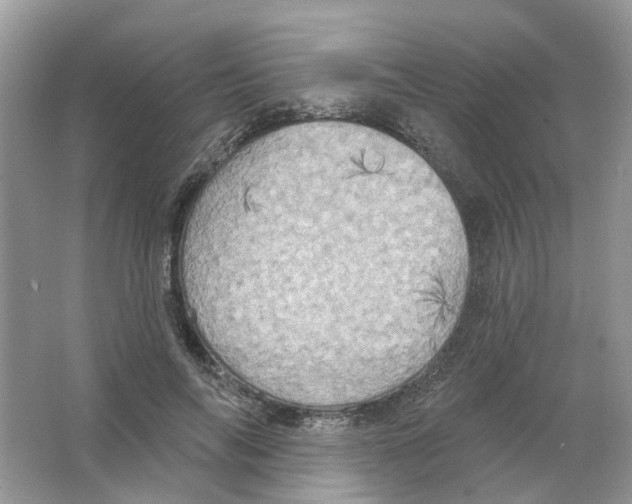 X0000063510694200602172146