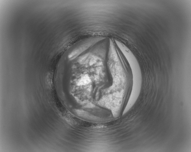 X0000063510695200602172146