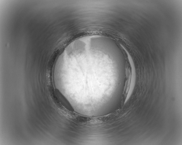 X0000063510696200602172146