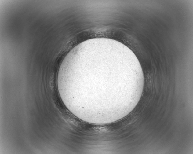 X0000063510698200602172146