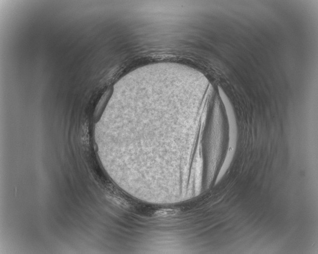 X0000063510700200602172146