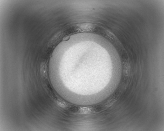 X0000063510701200602172146