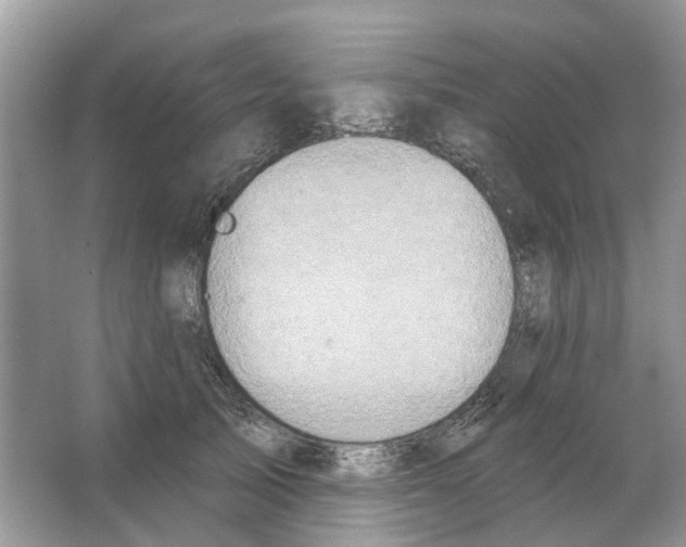 X0000063510705200602172146