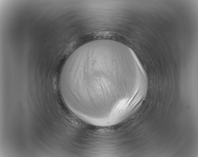 X0000063510708200602172146