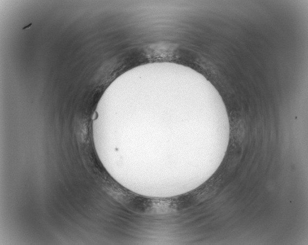 X0000063510709200602172146