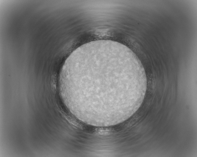 X0000063510710200602172146