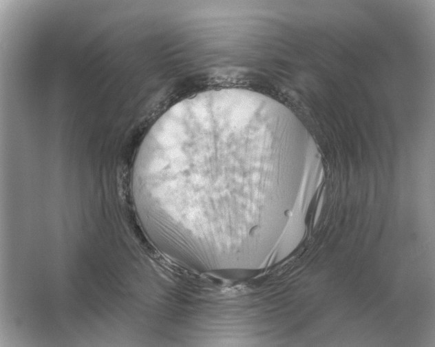 X0000063510712200602172146