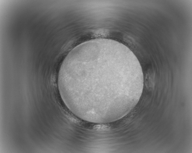 X0000063510714200602172146