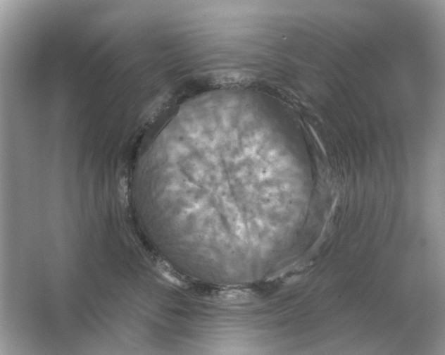 X0000063510716200602172146