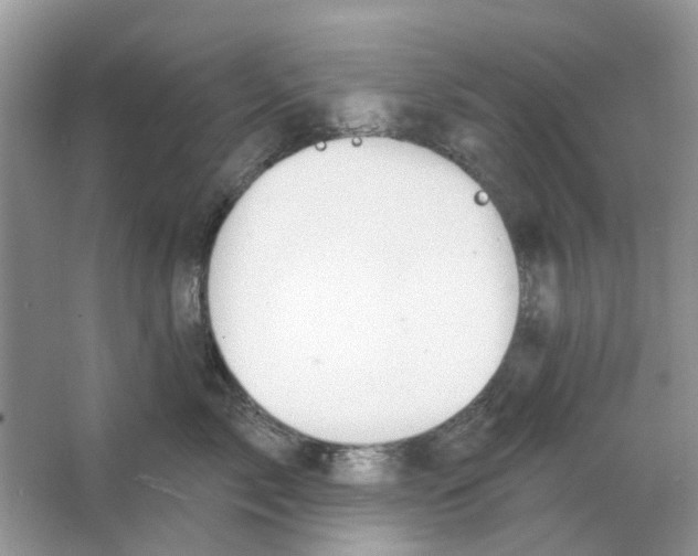 X0000063510717200602172146