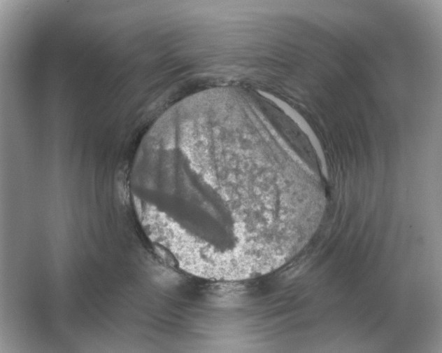 X0000063510719200602172146