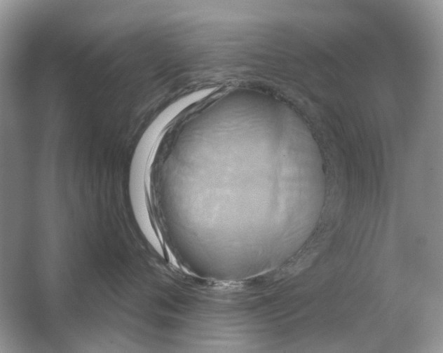 X0000063510720200602172146