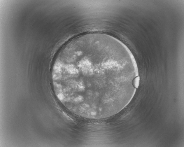 X0000063510721200602172145