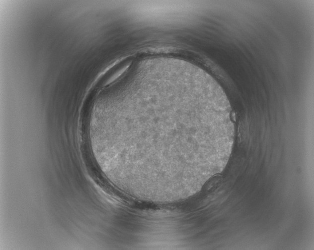 X0000063510722200602172145