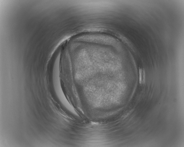 X0000063510723200602172145