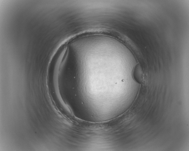 X0000063510724200602172145