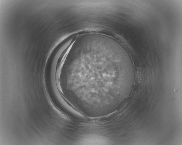 X0000063510726200602172145