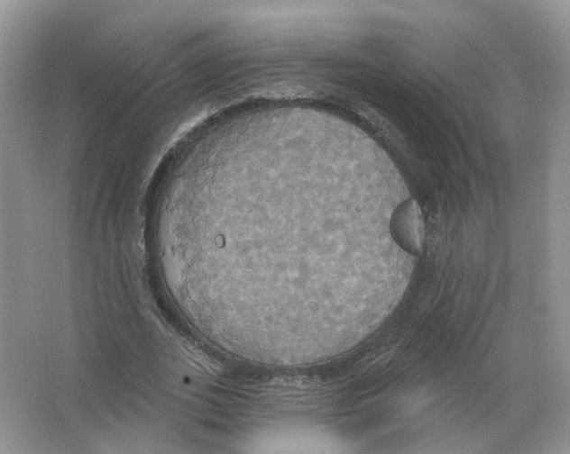 X0000063510727200602172145