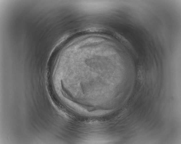 X0000063510730200602172145