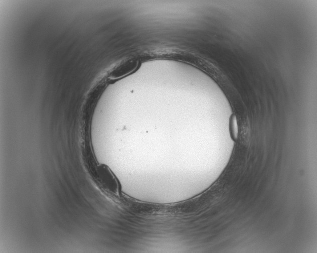 X0000063510732200602172145