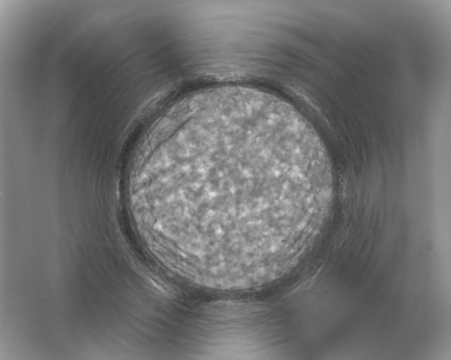 X0000063510733200602172145