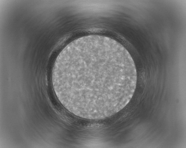 X0000063510734200602172145