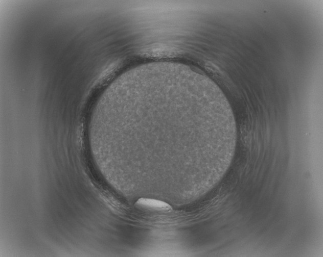 X0000063510735200602172145