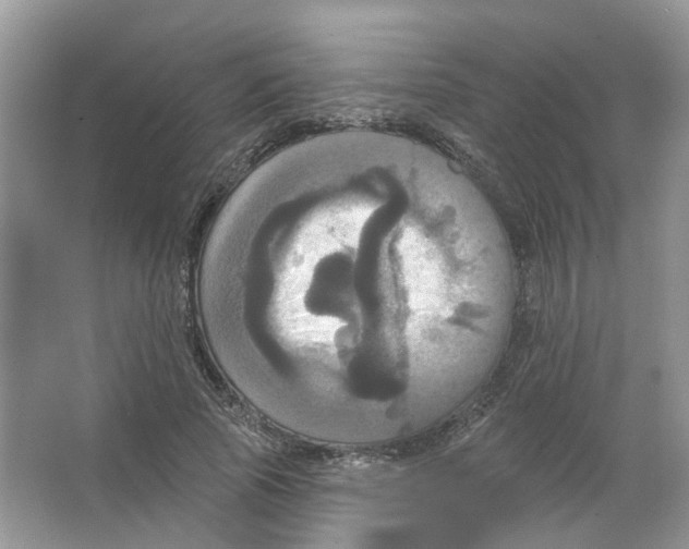 X0000063510737200602172145