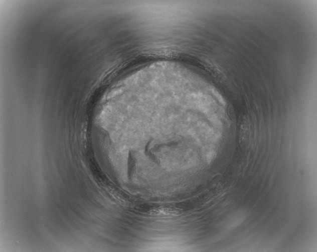 X0000063510739200602172145