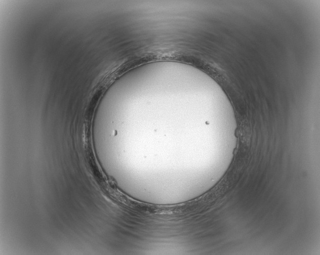 X0000063510740200602172145