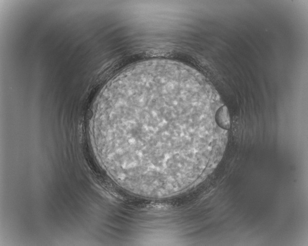 X0000063510741200602172145