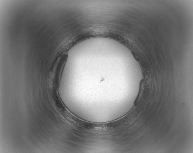 X0000063510744200602172146