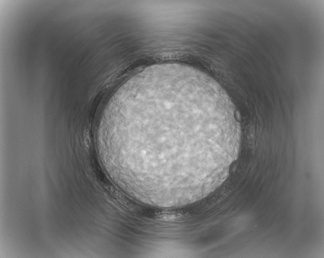 X0000063510746200602172146