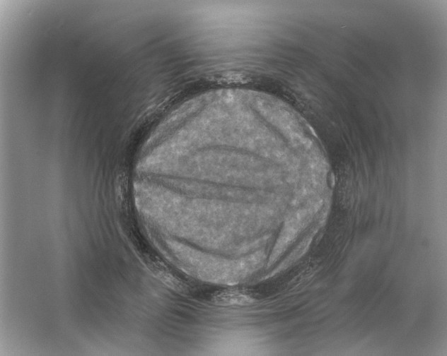 X0000063510747200602172146