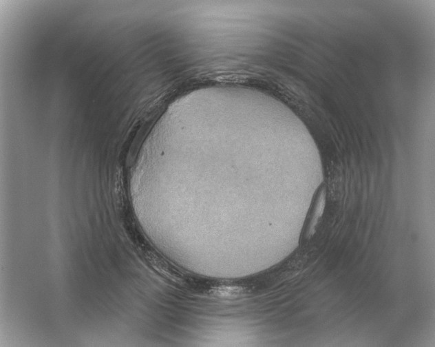 X0000063510748200602172146