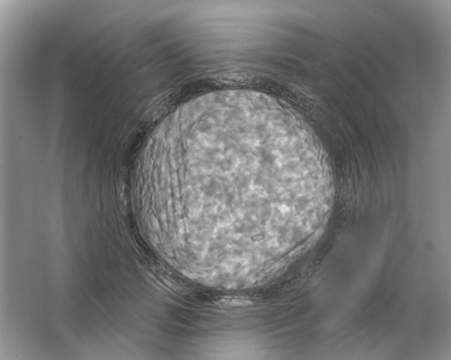 X0000063510749200602172146