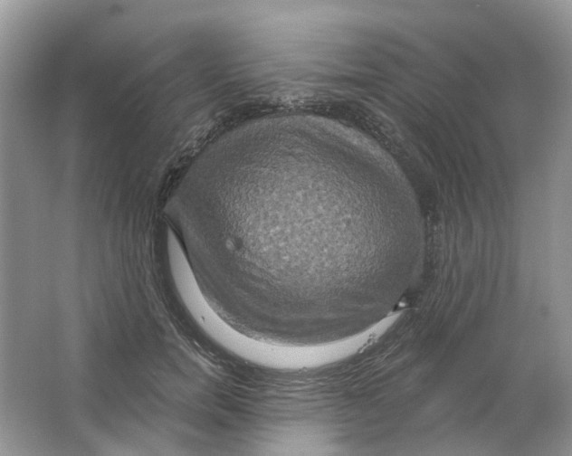 X0000063510750200602172146