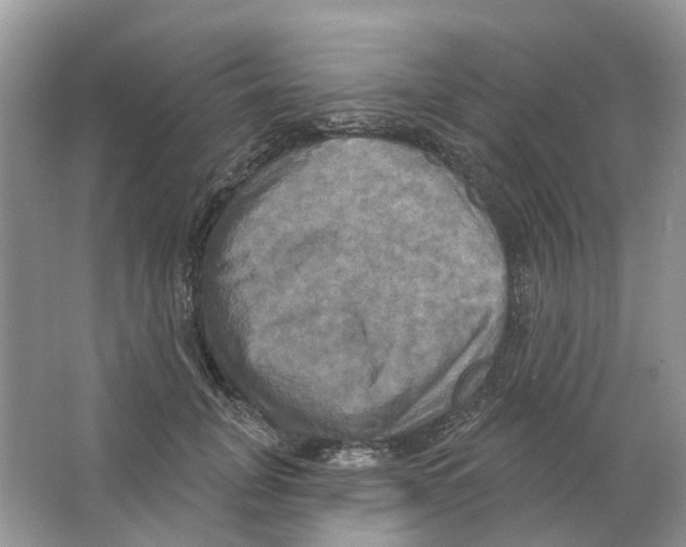 X0000063510751200602172146