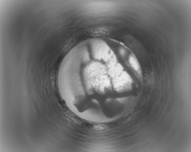 X0000063510753200602172146