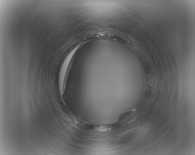 X0000063510754200602172146