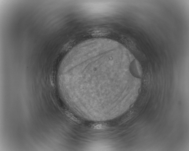 X0000063510755200602172146